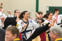 Female Black Belt Performing a Front Kick