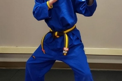 Olsons-Martial-Arts-Student Olsons-Martial-Arts-Student