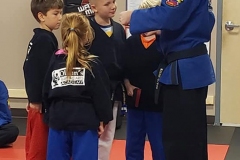 Olsons-Martial-Arts-class-2 Olsons-Martial-Arts-class-2