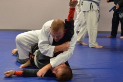Olsons-Martial-Arts-grappling-2 Olsons-Martial-Arts-grappling-2